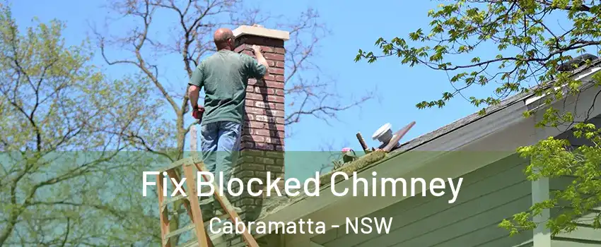 Fix Blocked Chimney Cabramatta - NSW