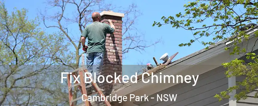 Fix Blocked Chimney Cambridge Park - NSW
