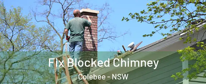 Fix Blocked Chimney Colebee - NSW
