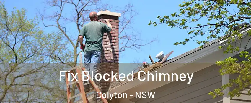 Fix Blocked Chimney Colyton - NSW