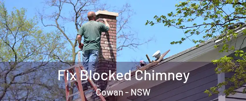 Fix Blocked Chimney Cowan - NSW