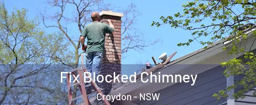 Fix Blocked Chimney Croydon - NSW