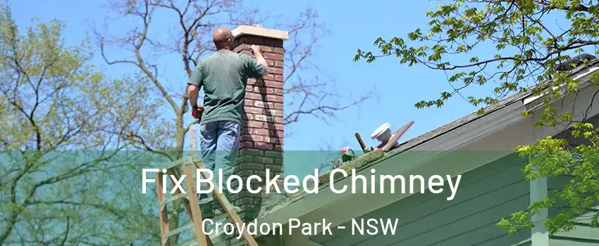 Fix Blocked Chimney Croydon Park - NSW