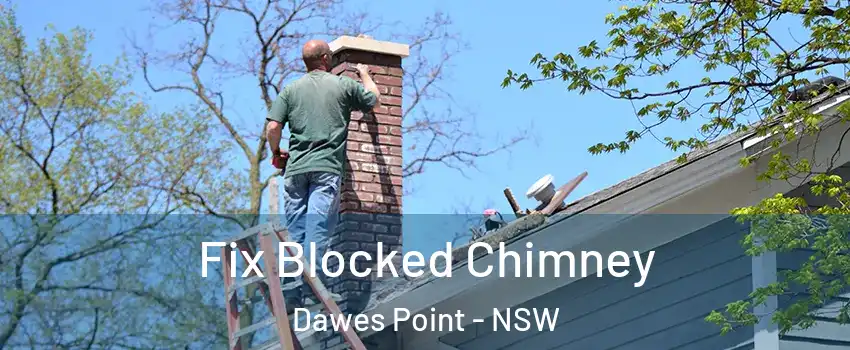 Fix Blocked Chimney Dawes Point - NSW