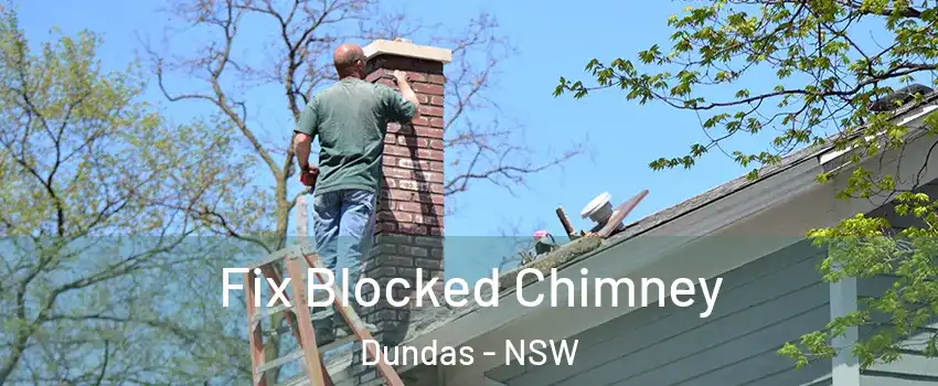 Fix Blocked Chimney Dundas - NSW