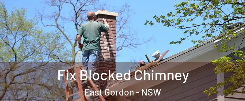 Fix Blocked Chimney East Gordon - NSW