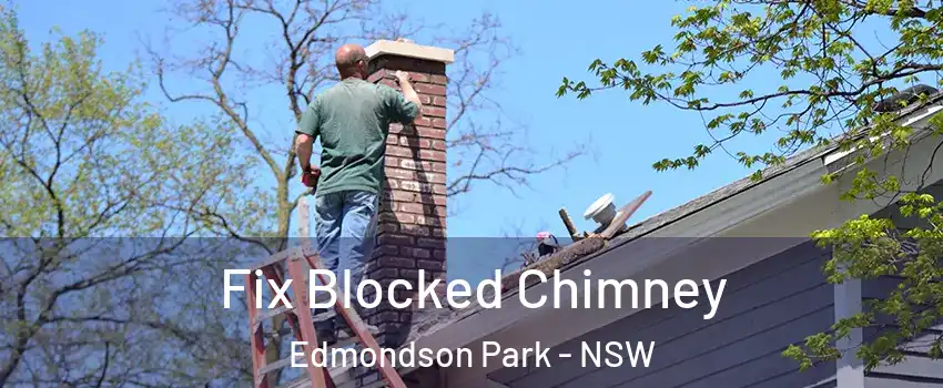 Fix Blocked Chimney Edmondson Park - NSW