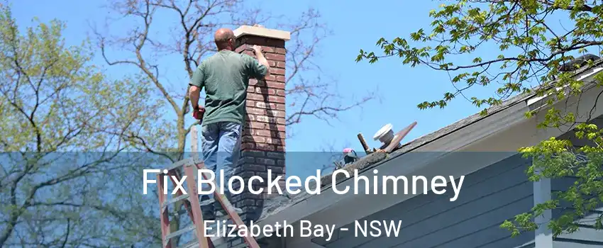 Fix Blocked Chimney Elizabeth Bay - NSW