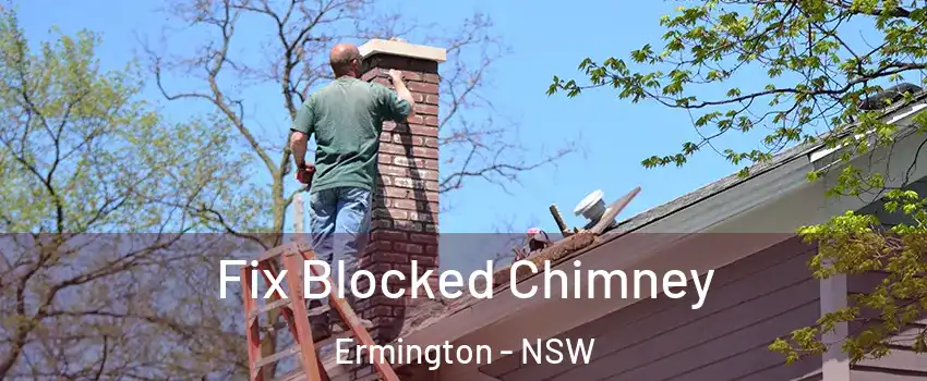 Fix Blocked Chimney Ermington - NSW