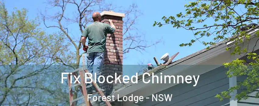 Fix Blocked Chimney Forest Lodge - NSW