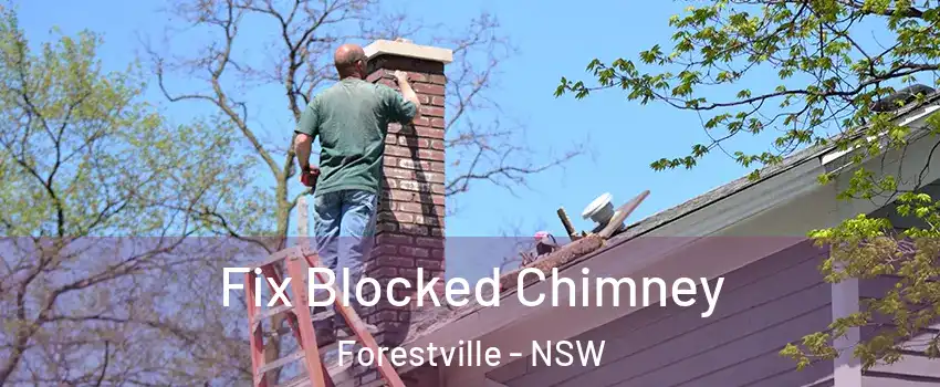 Fix Blocked Chimney Forestville - NSW