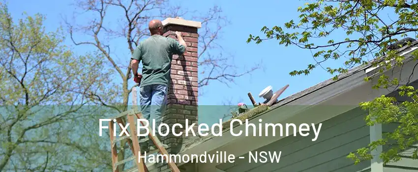 Fix Blocked Chimney Hammondville - NSW