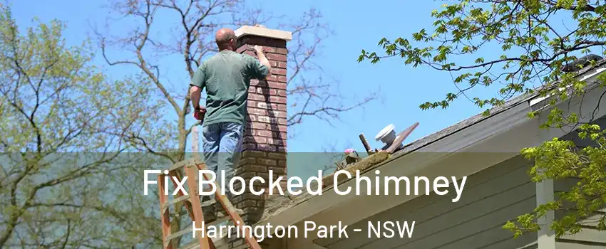 Fix Blocked Chimney Harrington Park - NSW
