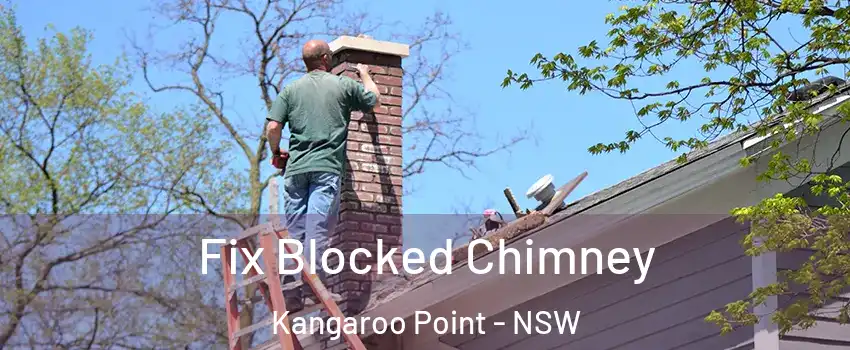 Fix Blocked Chimney Kangaroo Point - NSW