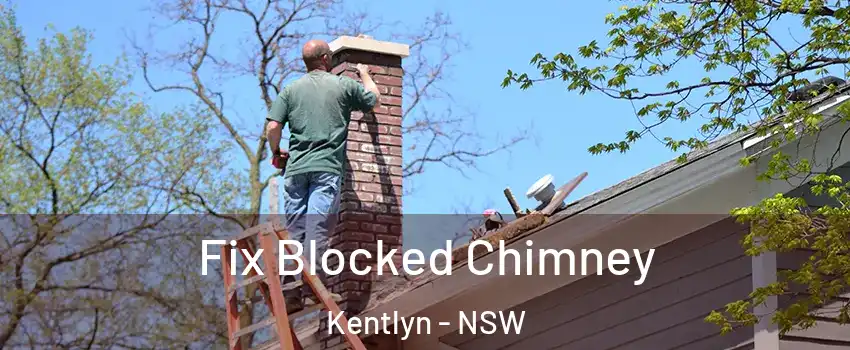 Fix Blocked Chimney Kentlyn - NSW