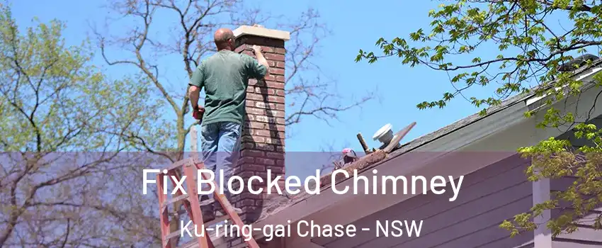 Fix Blocked Chimney Ku-ring-gai Chase - NSW