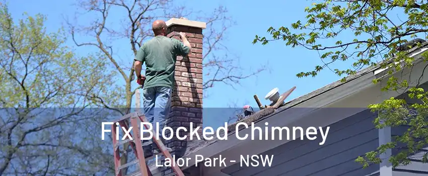 Fix Blocked Chimney Lalor Park - NSW