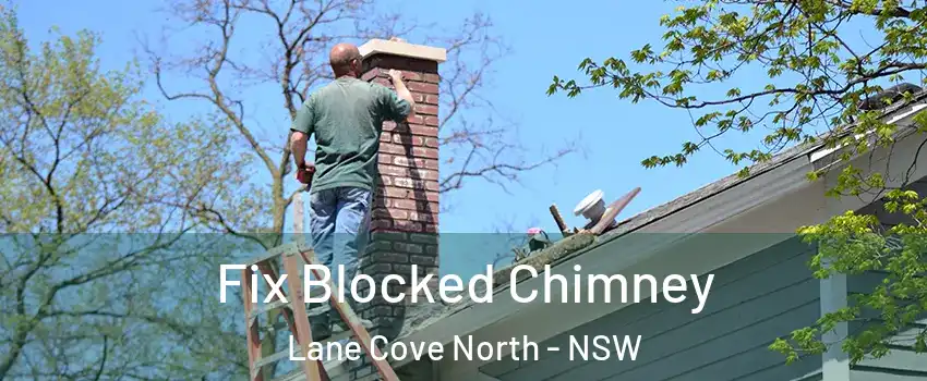 Fix Blocked Chimney Lane Cove North - NSW