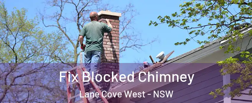 Fix Blocked Chimney Lane Cove West - NSW