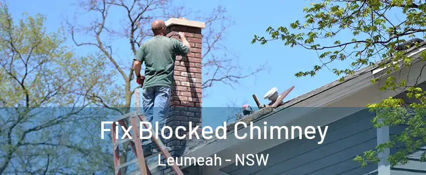 Fix Blocked Chimney Leumeah - NSW