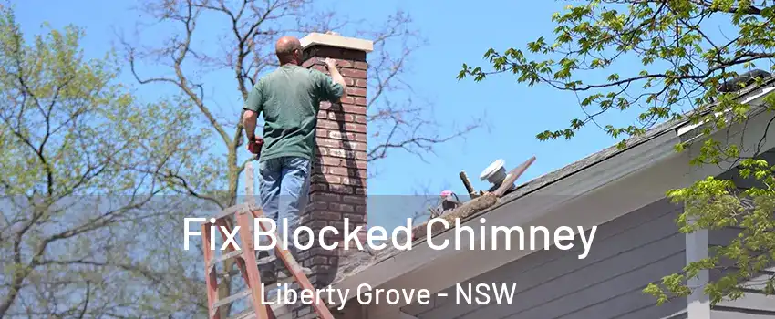 Fix Blocked Chimney Liberty Grove - NSW