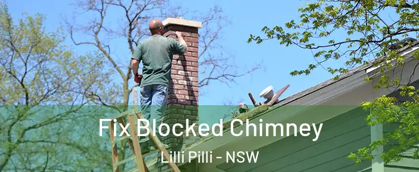 Fix Blocked Chimney Lilli Pilli - NSW