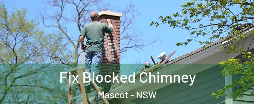 Fix Blocked Chimney Mascot - NSW