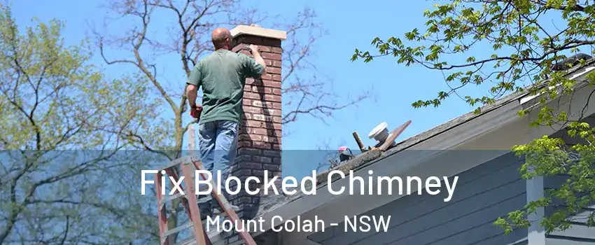 Fix Blocked Chimney Mount Colah - NSW