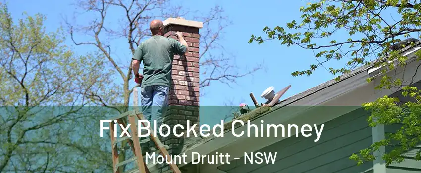 Fix Blocked Chimney Mount Druitt - NSW