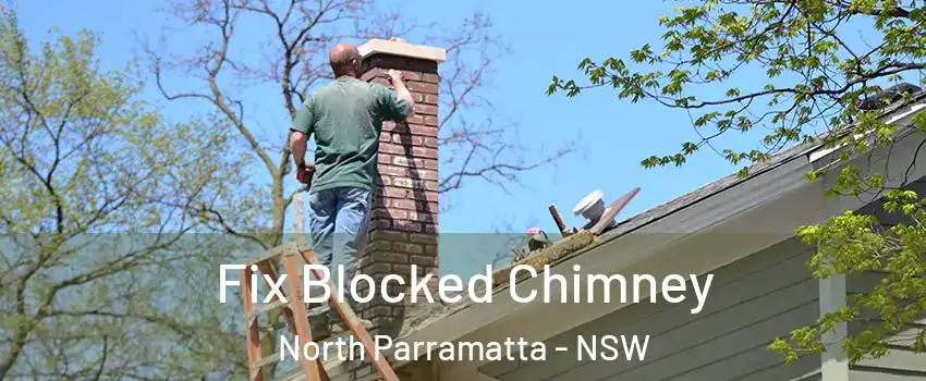 Fix Blocked Chimney North Parramatta - NSW