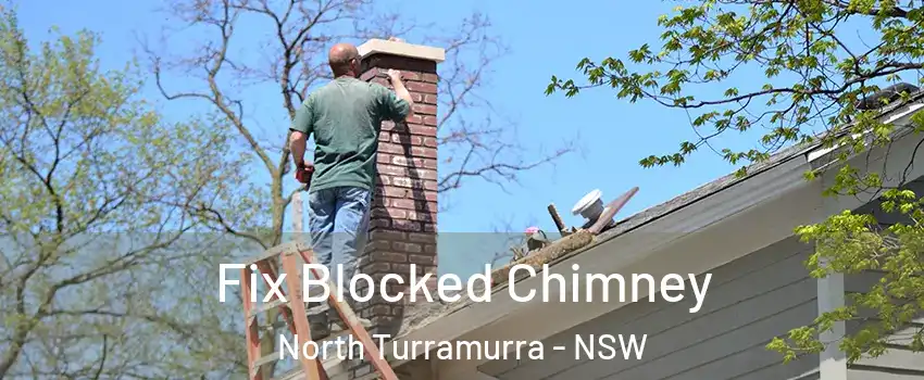 Fix Blocked Chimney North Turramurra - NSW