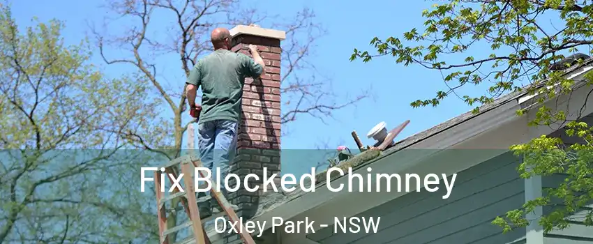 Fix Blocked Chimney Oxley Park - NSW