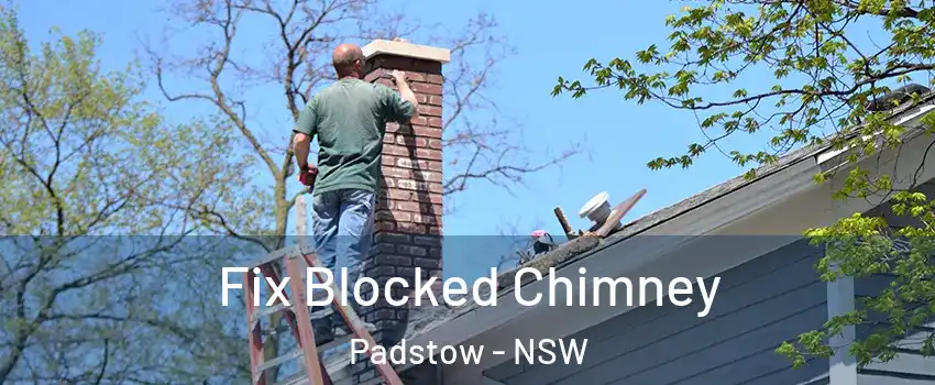 Fix Blocked Chimney Padstow - NSW