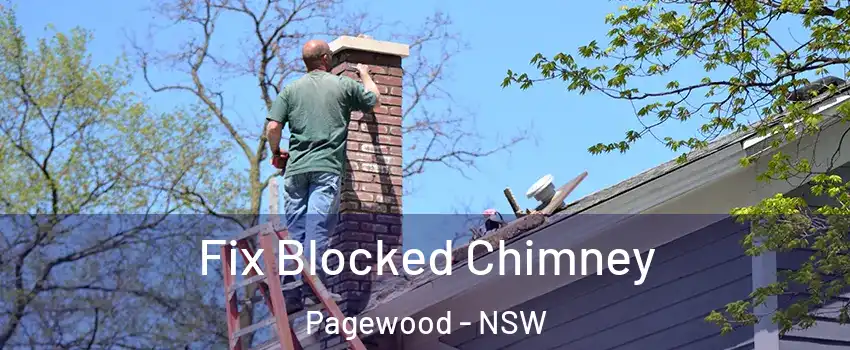 Fix Blocked Chimney Pagewood - NSW