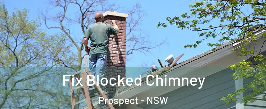 Fix Blocked Chimney Prospect - NSW