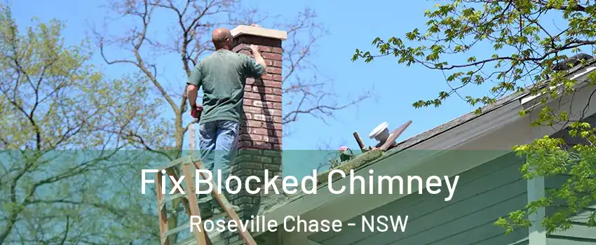 Fix Blocked Chimney Roseville Chase - NSW