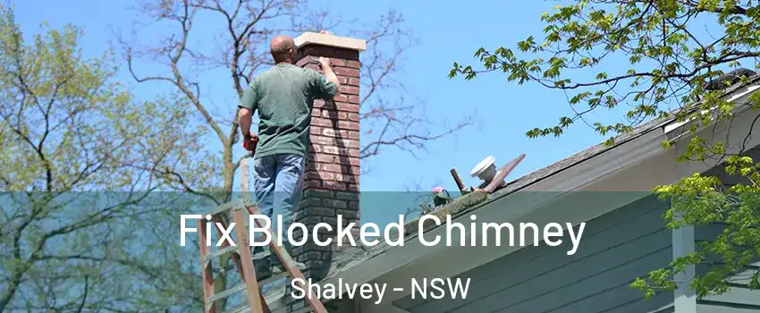Fix Blocked Chimney Shalvey - NSW