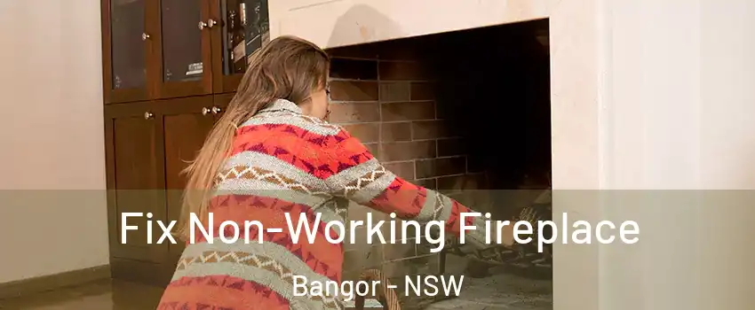 Fix Non-Working Fireplace Bangor - NSW