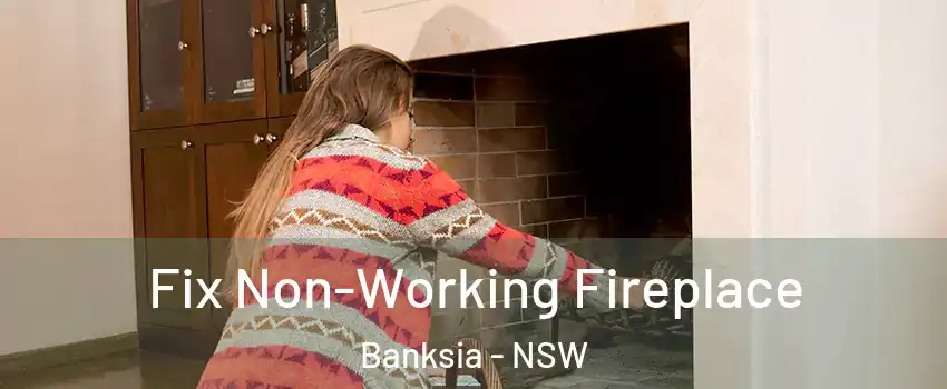 Fix Non-Working Fireplace Banksia - NSW