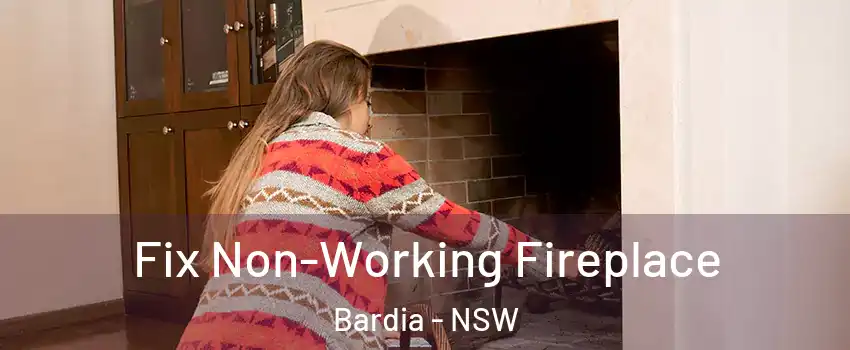 Fix Non-Working Fireplace Bardia - NSW