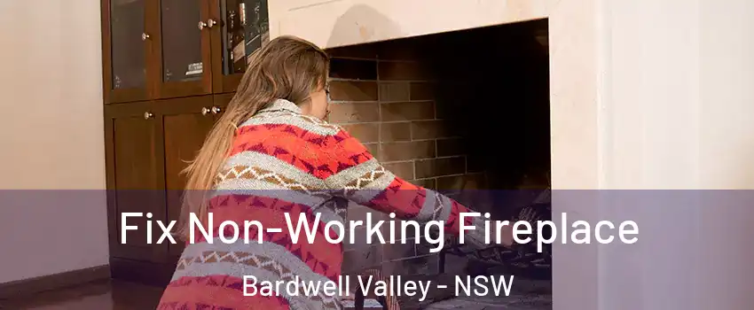 Fix Non-Working Fireplace Bardwell Valley - NSW