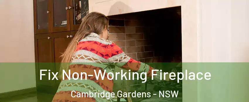Fix Non-Working Fireplace Cambridge Gardens - NSW