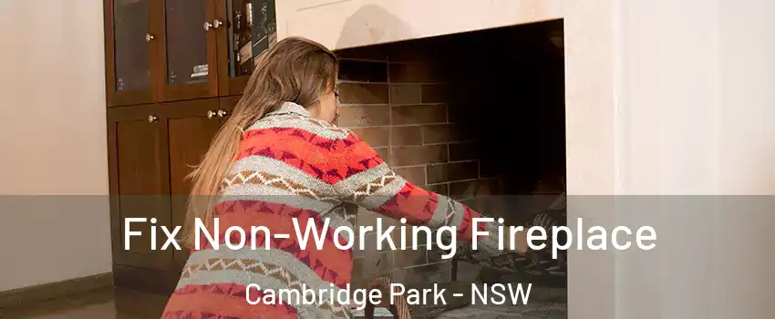 Fix Non-Working Fireplace Cambridge Park - NSW