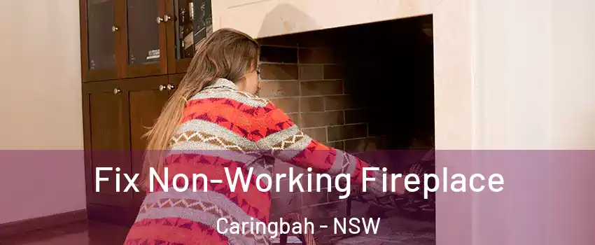 Fix Non-Working Fireplace Caringbah - NSW