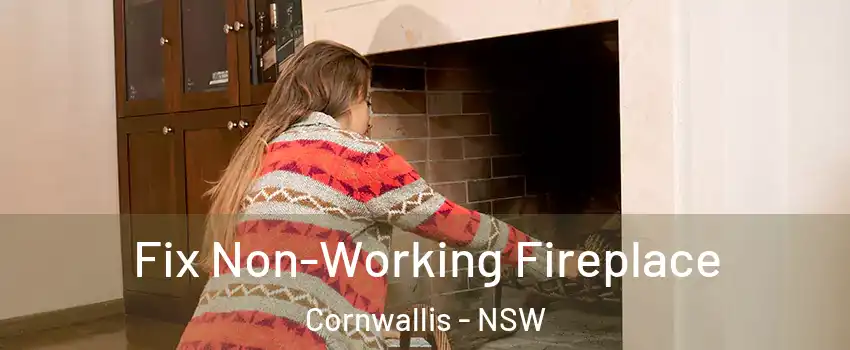 Fix Non-Working Fireplace Cornwallis - NSW