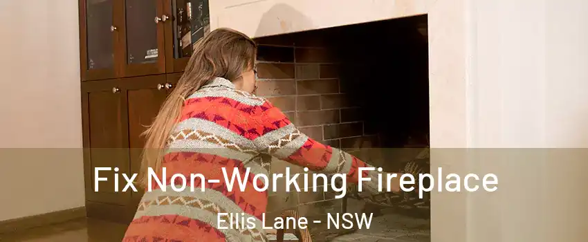 Fix Non-Working Fireplace Ellis Lane - NSW