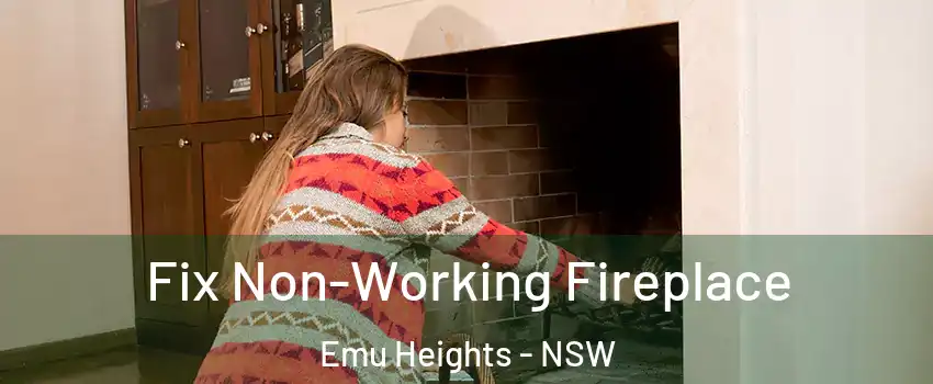 Fix Non-Working Fireplace Emu Heights - NSW