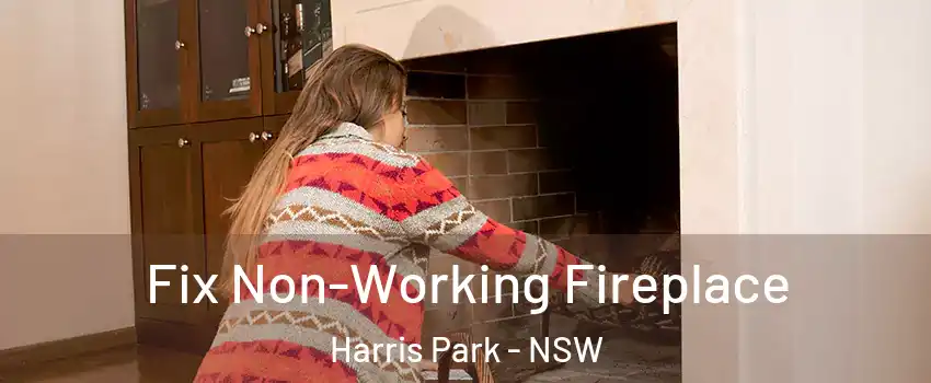 Fix Non-Working Fireplace Harris Park - NSW