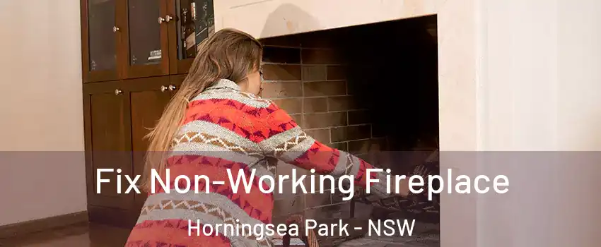 Fix Non-Working Fireplace Horningsea Park - NSW
