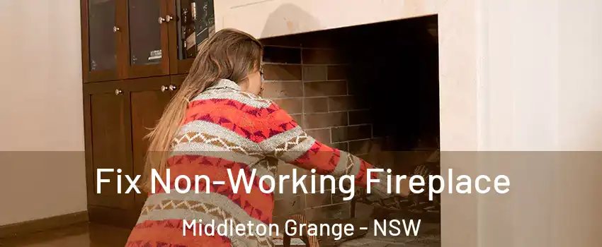 Fix Non-Working Fireplace Middleton Grange - NSW